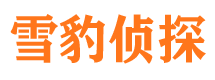 睢宁市调查公司